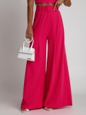 2-piece set, wide pants and dark pink blouse AZRHP3868